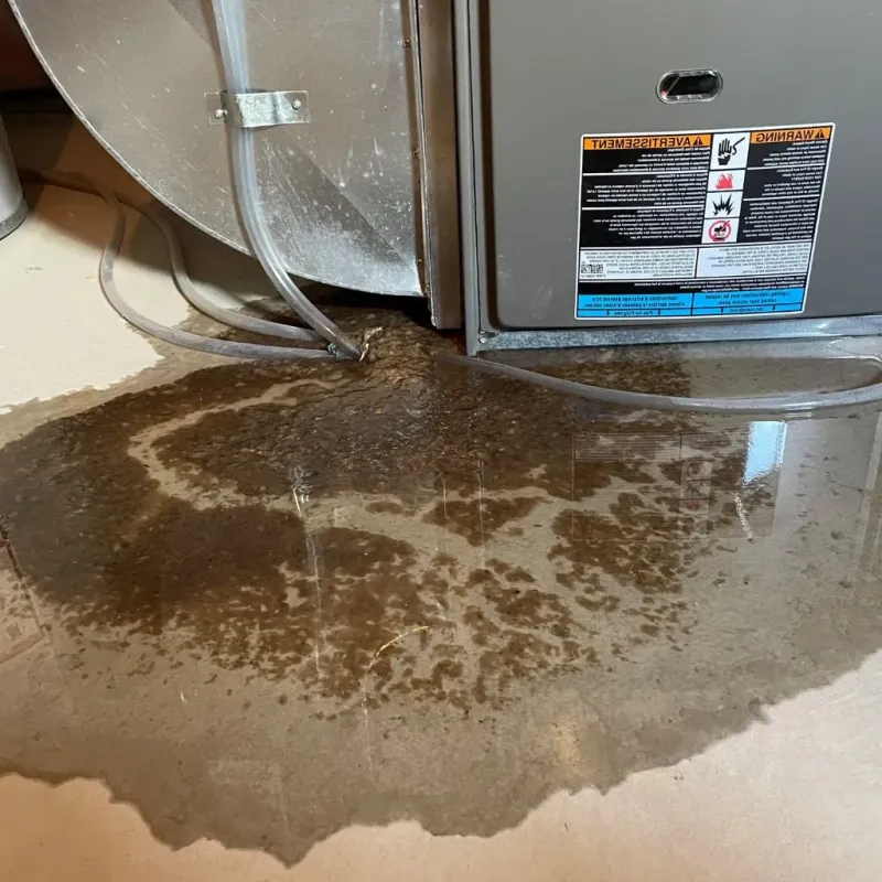 Pipe Burst and Leak Restoration in Sellersville, PA